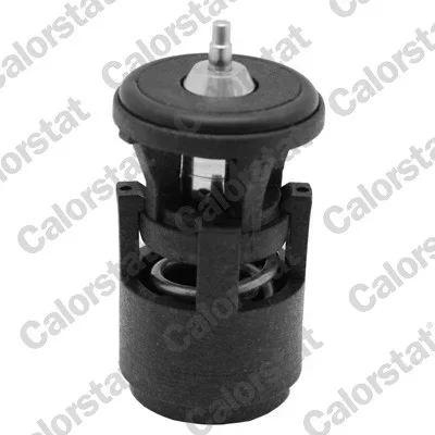 Termostat, chladivo CALORSTAT by Vernet TH6274.87J