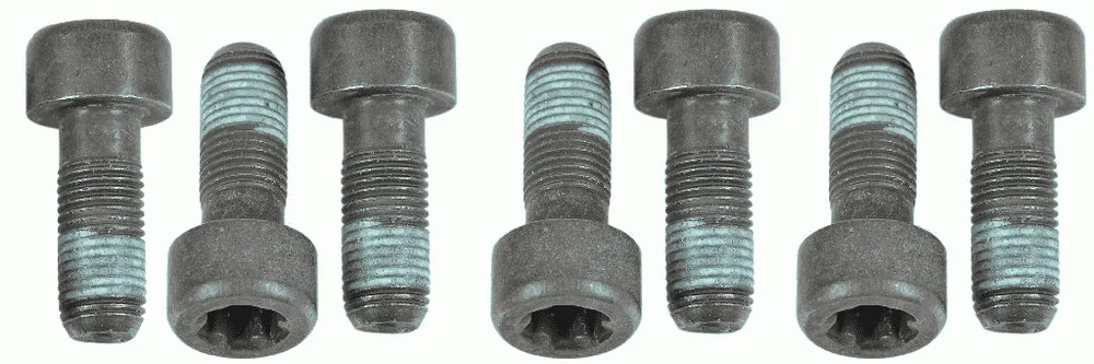 Sada sroubu, setrvacnik SACHS 1874000054