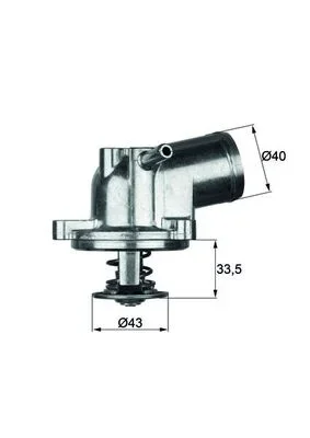 Termostat, chladivo MAHLE TI2171