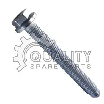 Šroub M7x55 OE N90704007