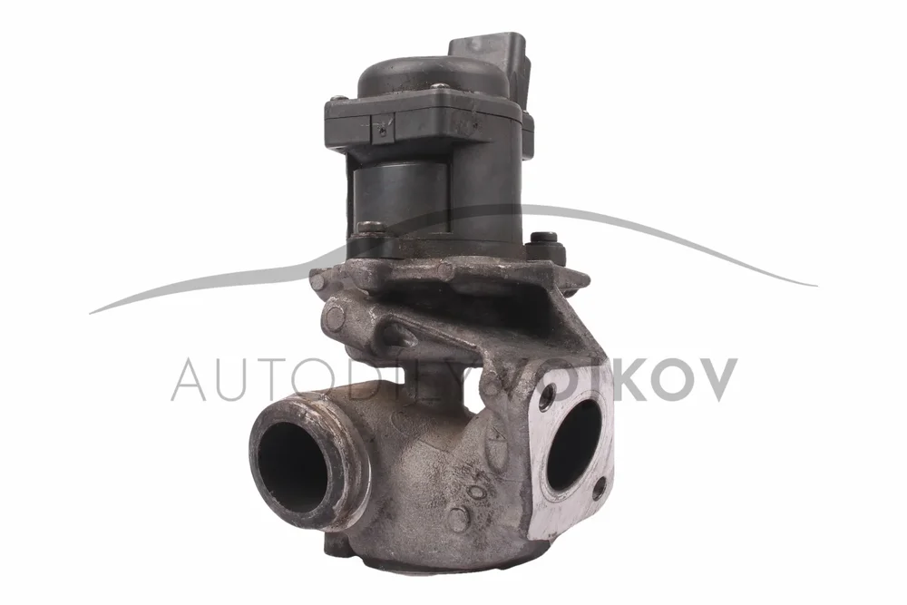 Ventil EGR v:52019