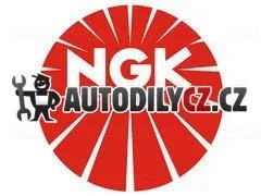 NG PFR8B Zapalovací svíčka NGK