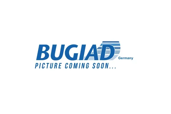 Hadička plnicího vzduchu BUGIAD 82263