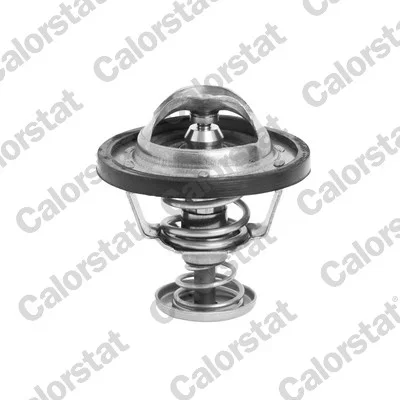 Termostat, chladivo CALORSTAT by Vernet TH6295.88J