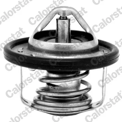 Termostat, chladivo CALORSTAT by Vernet TH7184.88J