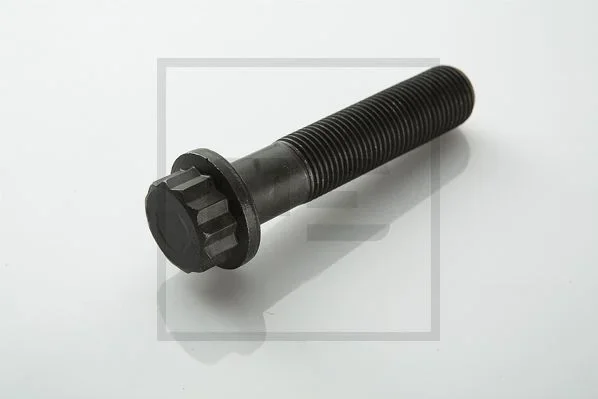 Sroub setrvacniku PE Automotive 010.160-00A